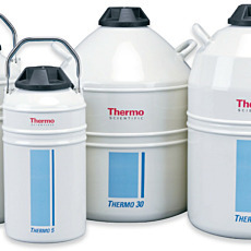 Liquid Nitrogen Transfer Vessels by Thermo Fisher Scientific