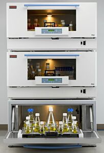 Shaker; Incubator, MaxQ 8000, Thermo Fisher, 120 V